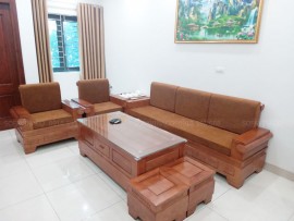 Đệm ghế gỗ hiện đại màu nâu cho khách ở Trần Hữu Dực, NTL